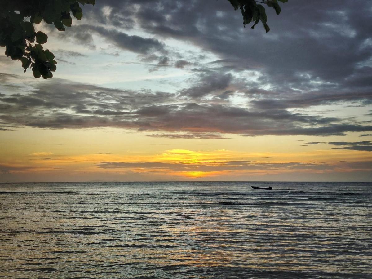 West Mansuar Homestay Pulau Mansuar エクステリア 写真
